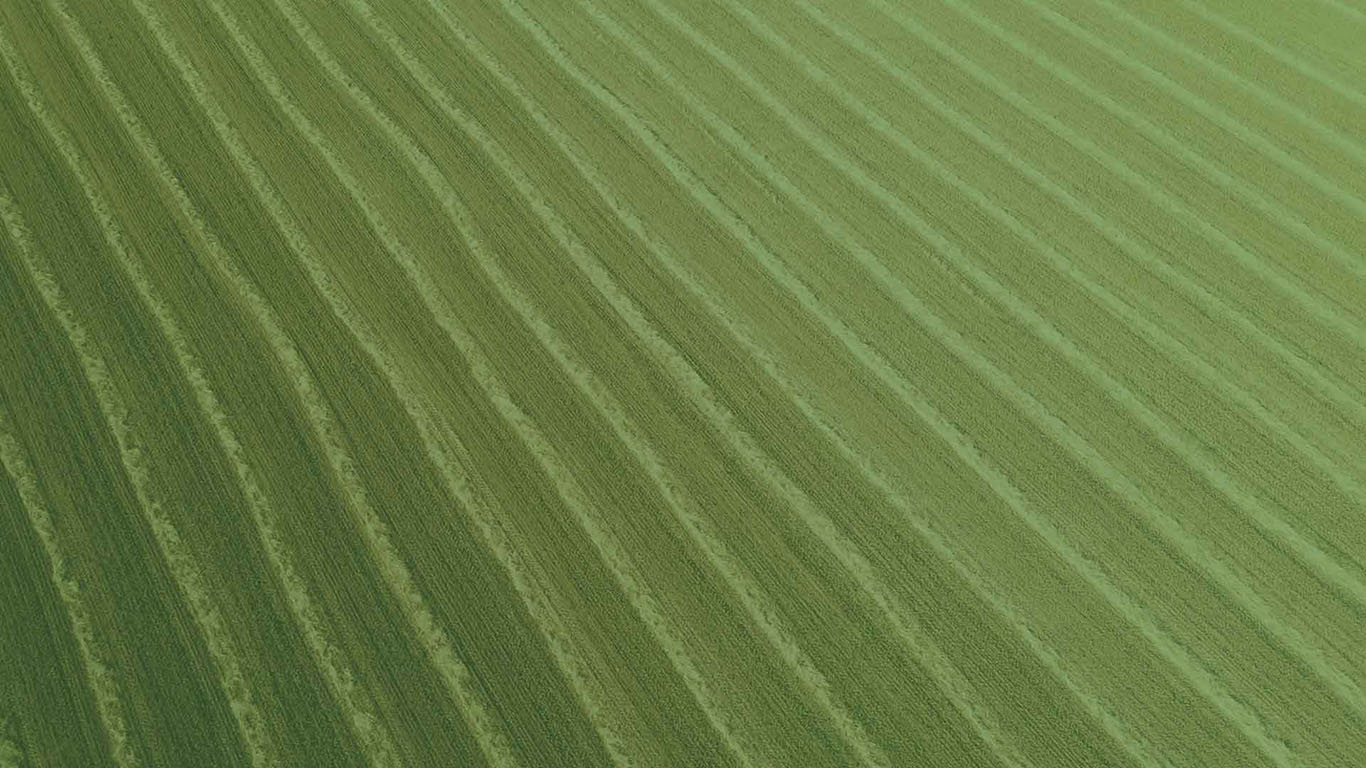 Agricoltura